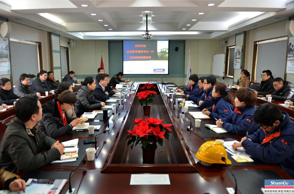 团省委李豫琦书记一行来一定发视察